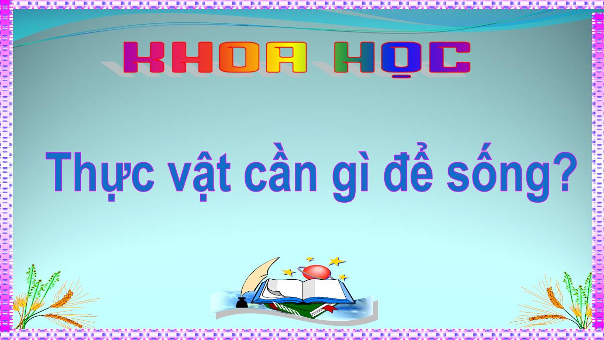 Đáp án bài tập cuối khóa Module 9 môn Khoa học