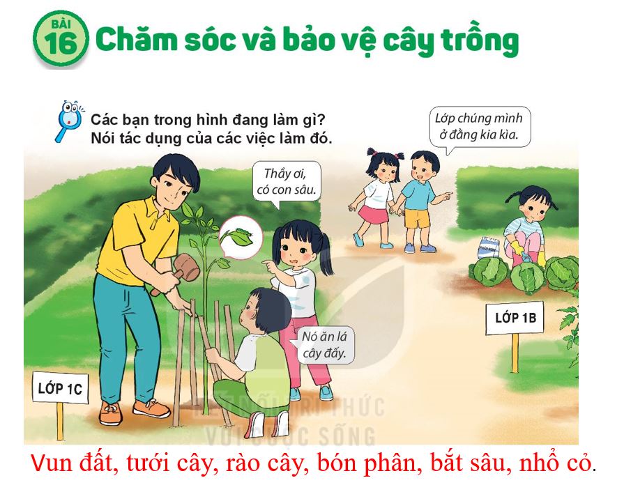 Bài tập cuối khóa mô đun 9 môn TNXH