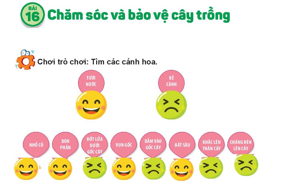 Đáp án bài tập cuối khóa Module 9 môn Tự nhiên xã hội