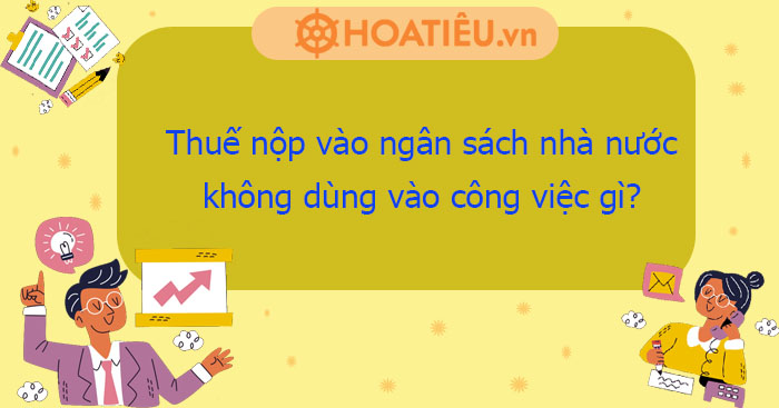 Thuế nộp vào ngân sách nhà nước nhằm mục đích gì?