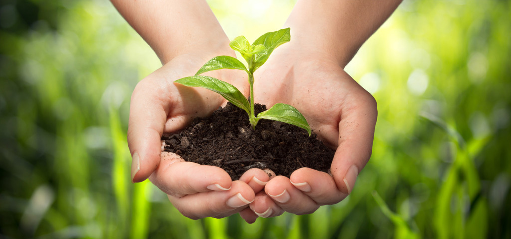 Bài dự thi viết về bảo vệ môi trường