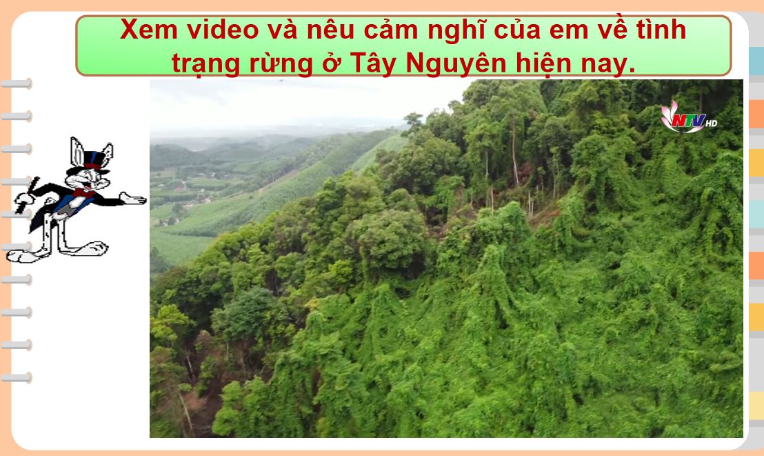 Đáp án bài tập cuối khóa Module 9 môn Lịch sử - Địa lý