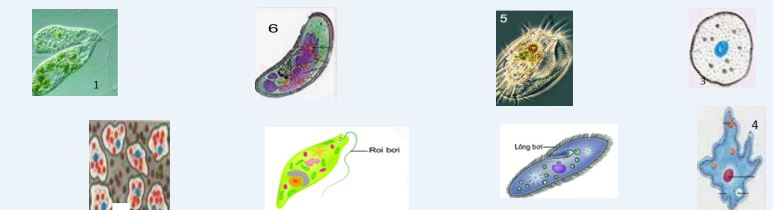 Bản mô tả phương án ứng dụng công nghệ thông tin cho hoạt động học THCS
