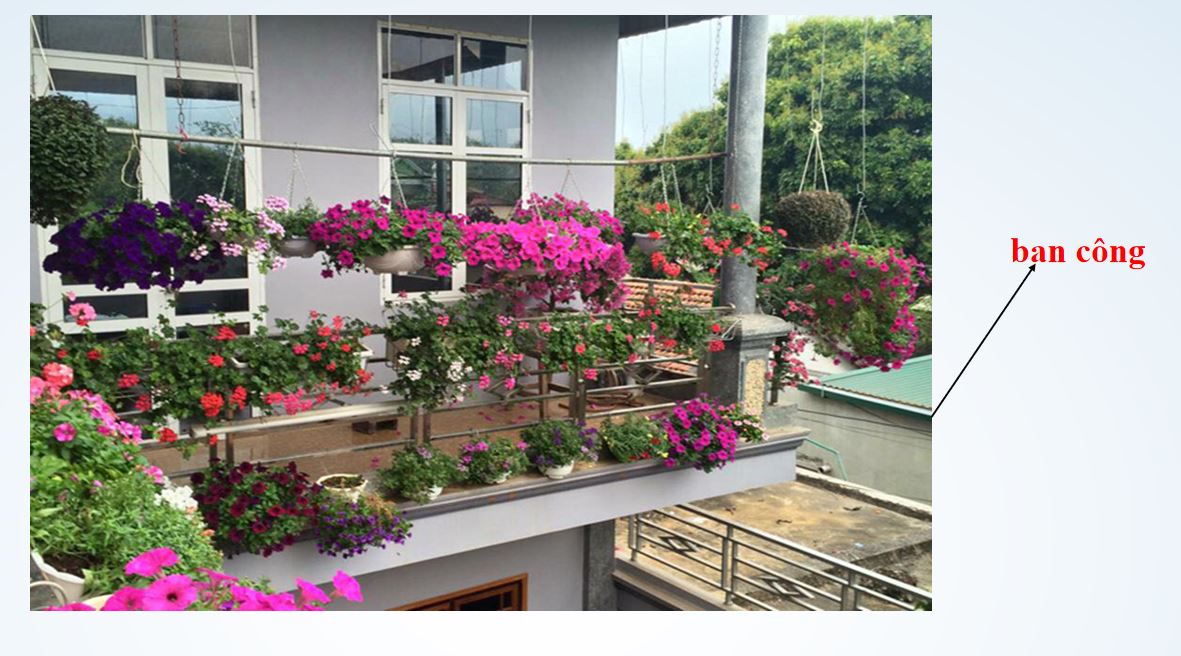 Bài tập cuối khóa module 9 môn Tiếng Việt