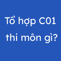 C01 gồm những môn nào?