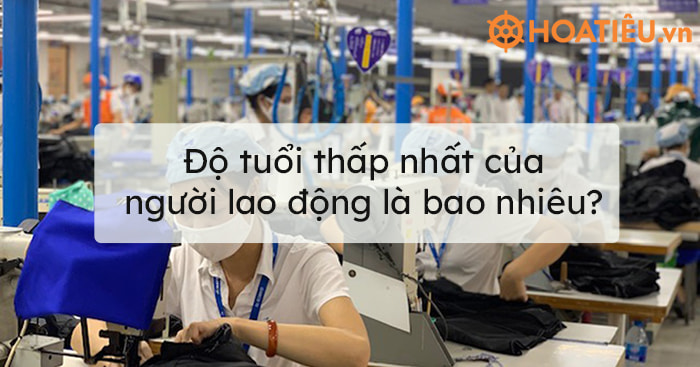 Độ tuổi thấp nhất của người lao động là bao nhiêu?