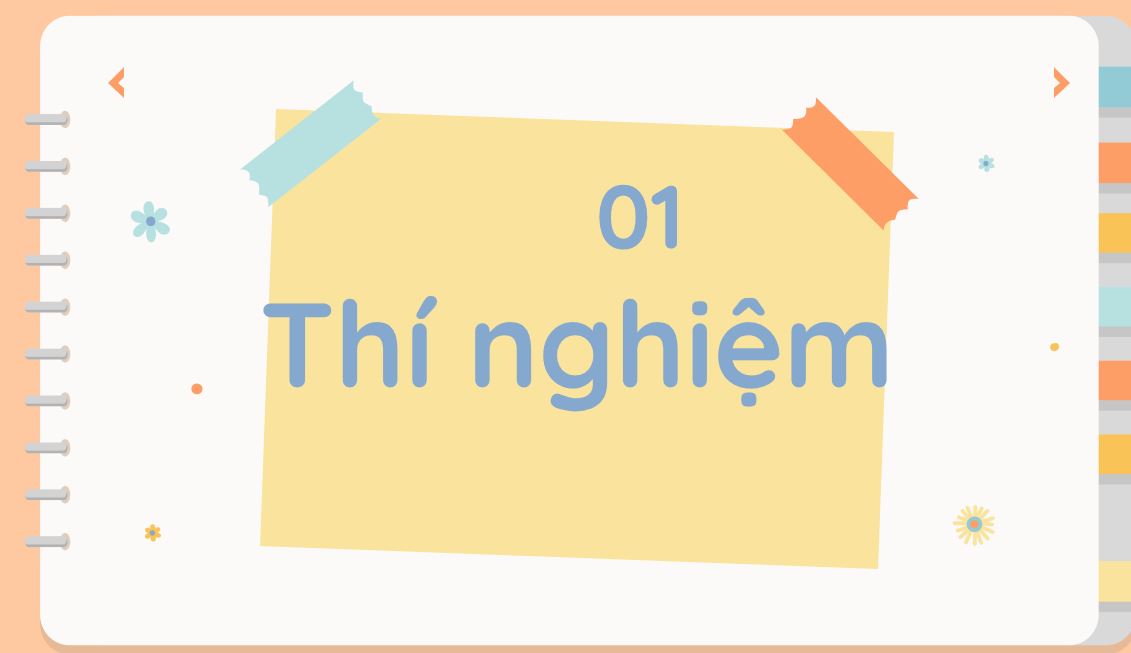 Sản phẩm cuối khóa module 9 môn Khoa học