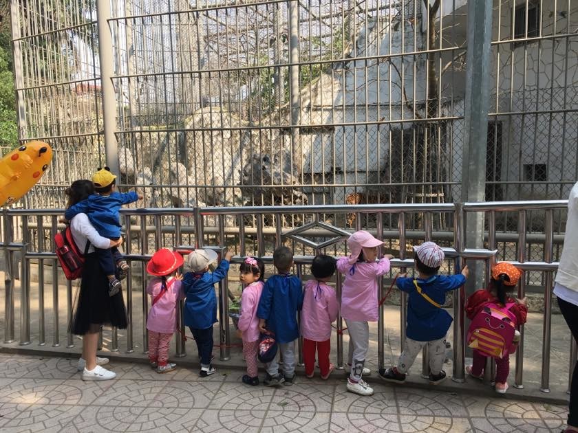 Viết 4 - 5 câu kể về một buổi đi chơi cùng người thân hoặc thầy cô, bạn bè