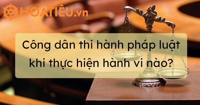 Công dân thi hành pháp luật khi thực hiện hành vi nào?
