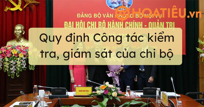 Quy định Công tác kiểm tra, giám sát của chi bộ 2022