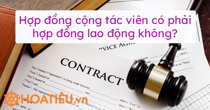Hợp đồng cộng tác viên là gì?