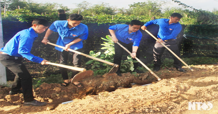 Hình ảnh thanh niên Việt Nam không ngại khố, ngại khổ, lao động giúp dân.