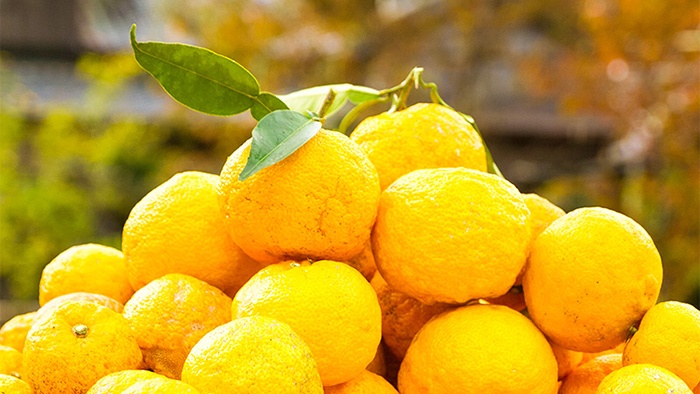 Yuzu là gì? Quả Yuzu là gì?