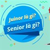 Junior trong cấp bậc công việc là gì?