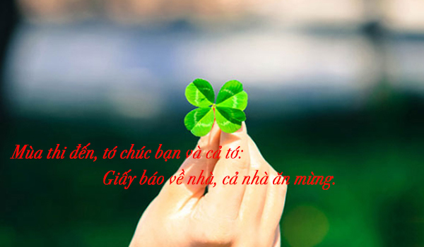 Lời chúc thi tốt hay nhất