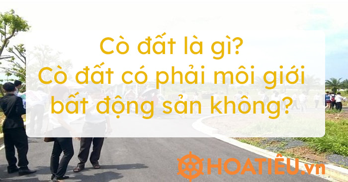 Cò đất là gì? Cò đất có phải môi giới bất động sản không?