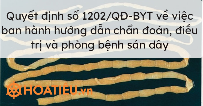 Quyết định số 1202/QĐ-BYT về việc ban hành hướng dẫn chẩn đoán, điều trị và phòng bệnh sán dây 