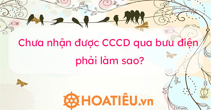 CCCD có gắp chip là giấy tờ quan trọng chứng minh nhân dạng, lai lịch của một người.