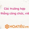 Các trường hợp tuyển thẳng công chức viên chức 2026