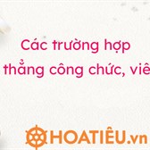 Các trường hợp tuyển thẳng công chức viên chức 2024