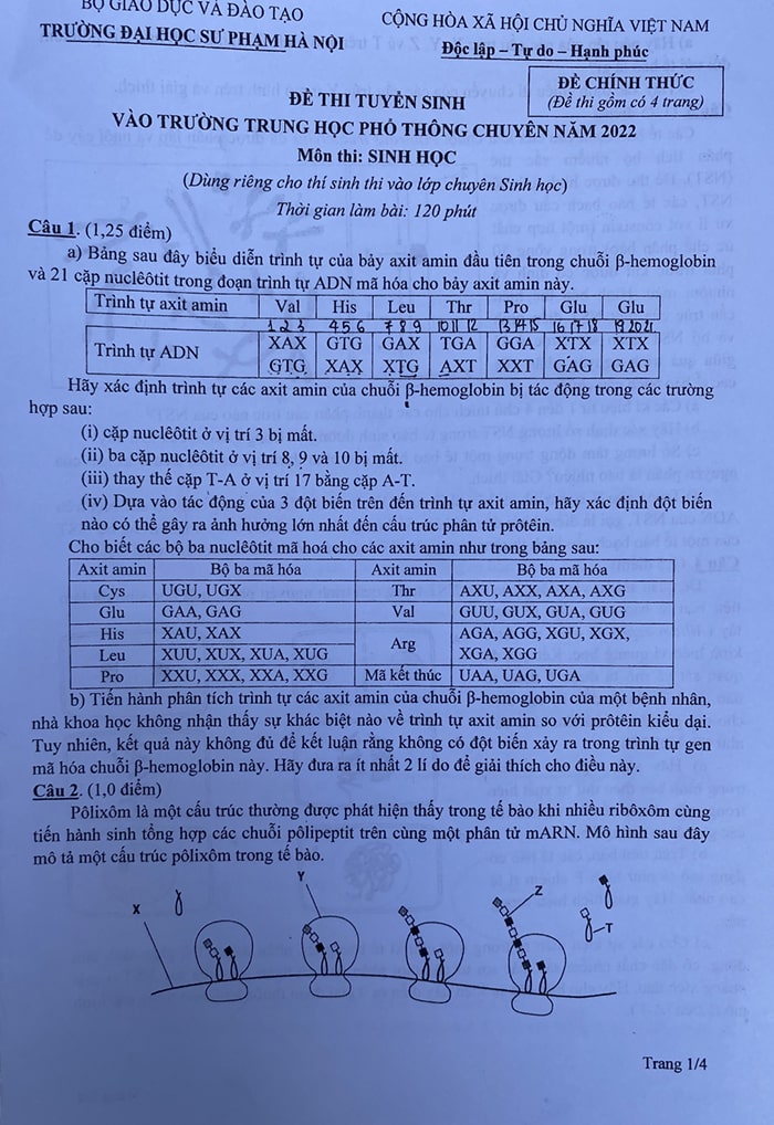 Đề Sinh chuyên Sư Phạm 2022