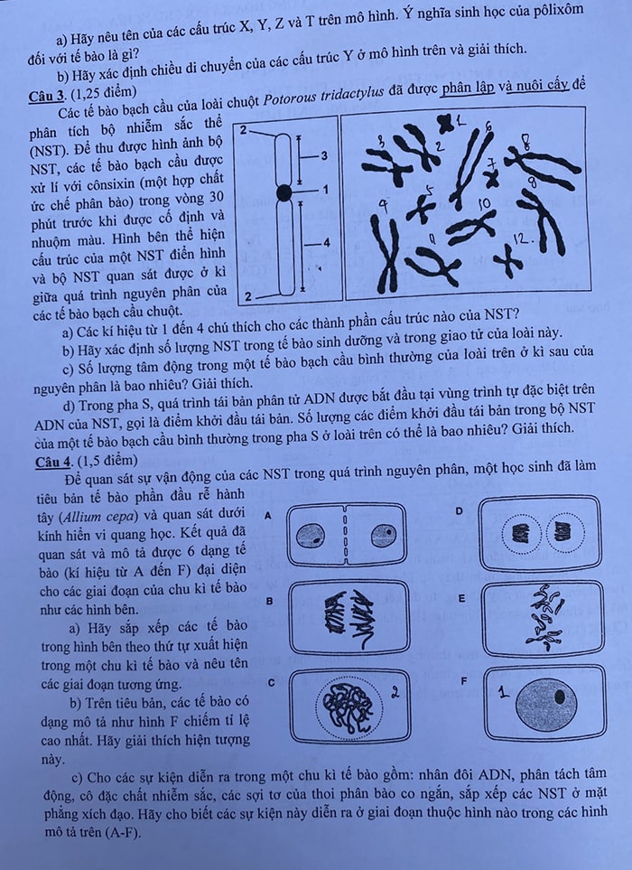 Đề Sinh chuyên Sư Phạm 2022