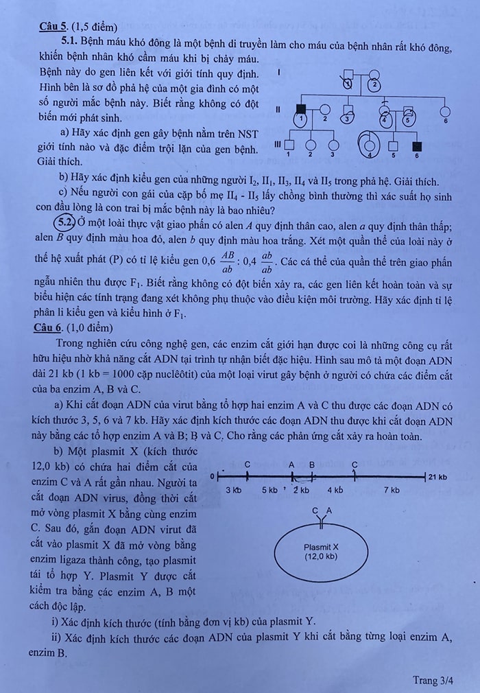Đề Sinh chuyên Sư Phạm 2022
