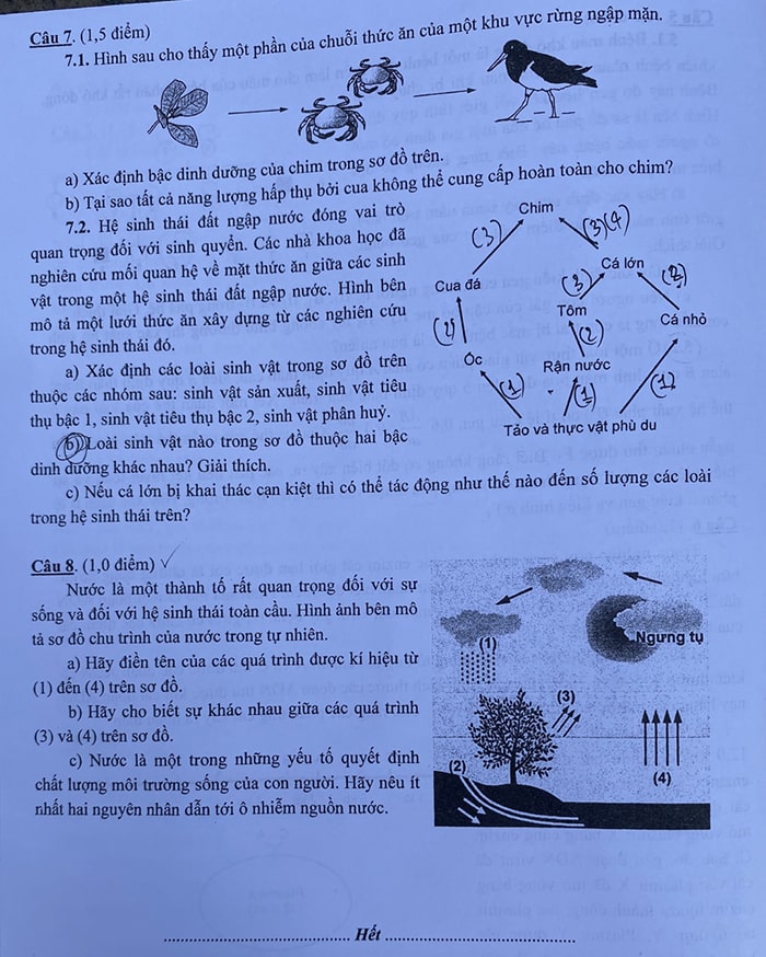 Đề Sinh chuyên Sư Phạm 2022