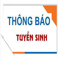 Mẫu tờ trình xin tuyển sinh 2024 