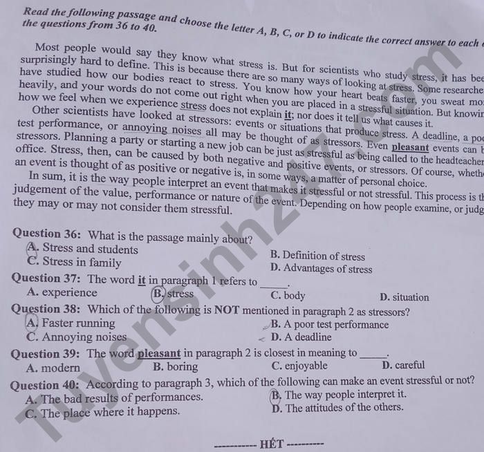 Đề thi vào 10 môn Anh Tuyên Quang 2022