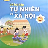 (Tải free) Giáo án Tự nhiên xã hội lớp 3 Chân trời sáng tạo 2024