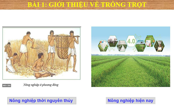 Giáo án điện tử lớp 7 môn Công nghệ