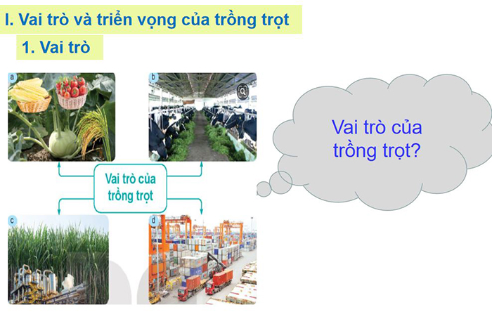 Giáo án điện tử lớp 7 môn Công nghệ