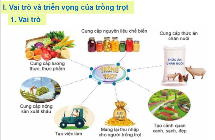 Giáo án điện tử lớp 7 môn Công nghệ