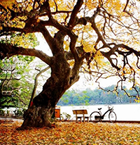 Chia sẻ cảm nhận của mình về thiên nhiên vào thời khắc giao mùa