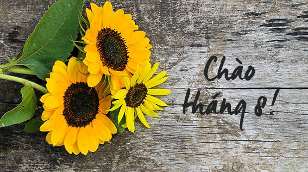 Hình ảnh chào tháng 8 đẹp