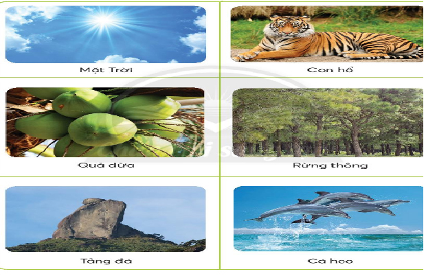 Giáo án Công nghệ 3 file word