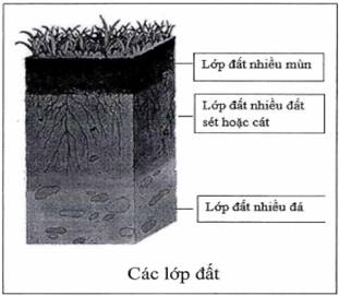 Công văn 405/BGDĐT-GDTH 