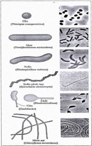 Công văn 405/BGDĐT-GDTH 