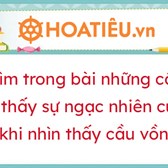 Tìm trong bài những câu cho thấy sự ngạc nhiên của Bi khi nhìn thấy cầu vồng