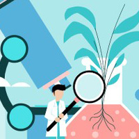 Tương quan trội - lặn của các tính trạng có ý nghĩa gì trong thực tiễn sản xuất?