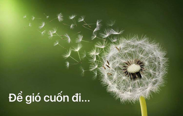 Đoạn văn về lòng khoan dung