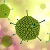 Adenovirus là gì? Adenovirus gây ra bệnh gì?