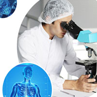 Đột biến gen thường gây hại cho cơ thể mang đột biến vì?