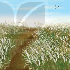 Gió chướng được tác giả miêu tả qua những chi tiết, hình ảnh nào? 