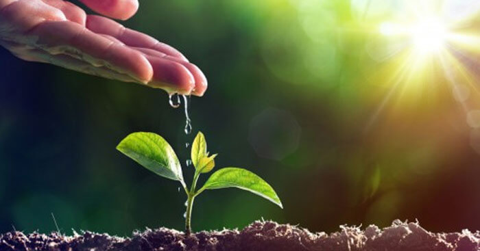 Suy nghĩ về đạo lí Uống nước nhớ nguồn