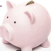 Mẫu kế hoạch phát động Phong trào kế hoạch nhỏ nuôi heo đất 2025