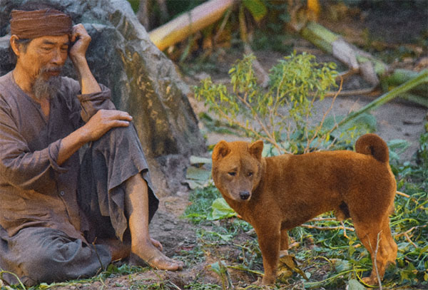 Theo em, cái hay của truyện thể hiện rõ nhất ở những điểm nào?