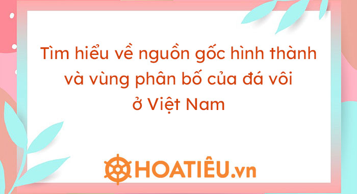 Tìm hiểu về nguồn gốc hình thành và vùng phân bố của đá vôi ở Việt Nam