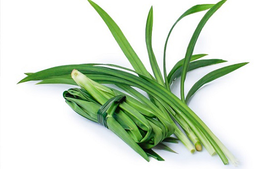 Soạn bài Gặp lá cơm nếp